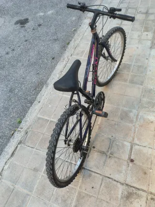 Bicicleta