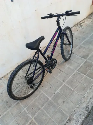 Bicicleta