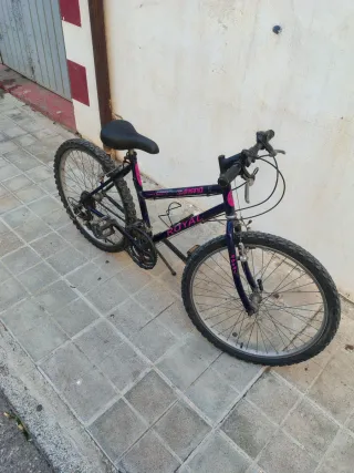 Bicicleta