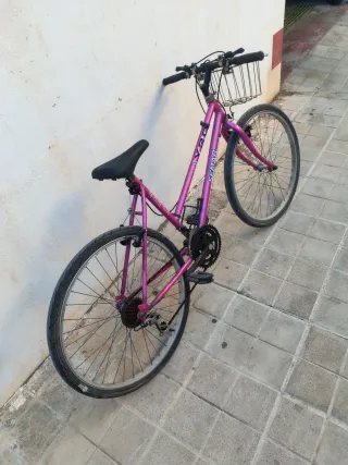 Bicicleta SEMAR morada