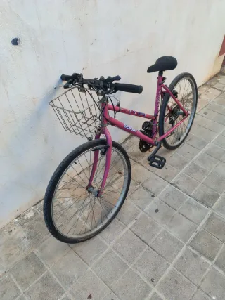 Bicicleta SEMAR morada