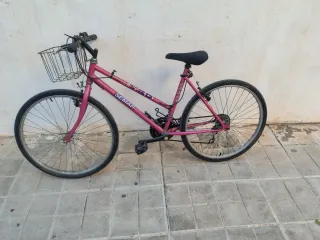 Bicicleta SEMAR morada