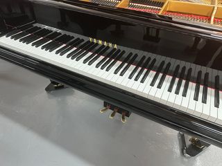 Piano Gran Cola Yamaha SC 245cm mas grande que C7