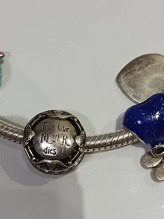 Pandora varios Charms
