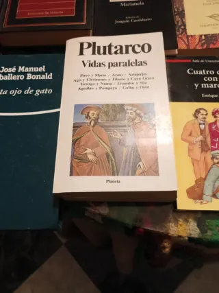 Varios libros de literatura