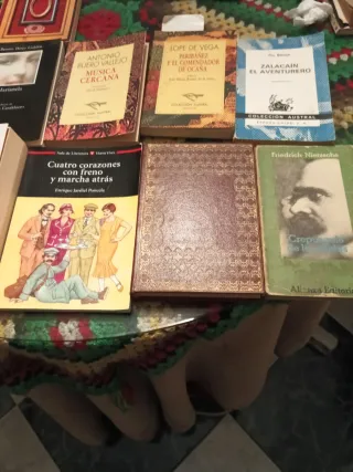 Varios libros de literatura
