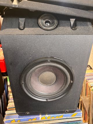 Altavoces Bose 301 Serie IV Negros