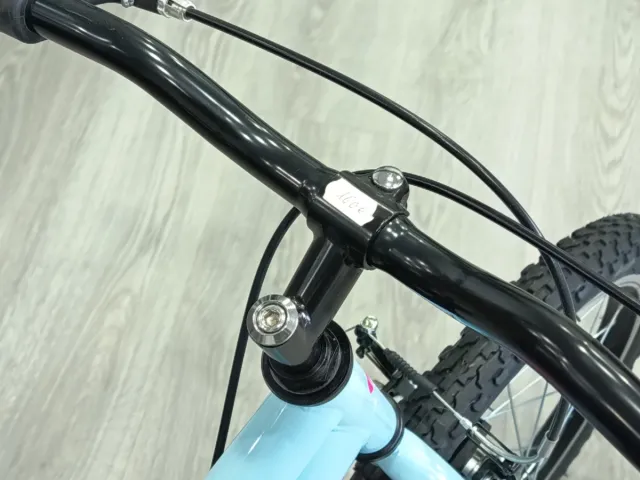 Bicicleta niña 20 azul y rosa