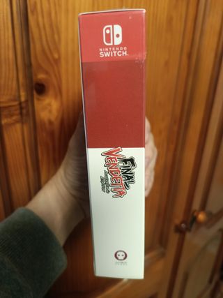 Final Vendetta Collector's Edition Switch