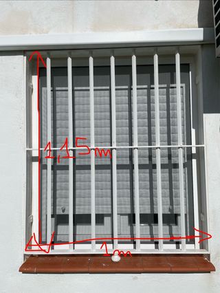 Rejas de seguridad, 2 ventanas y 1 puerta