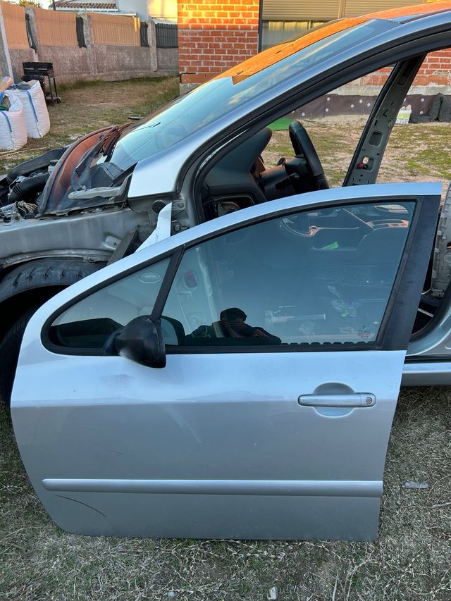 Puerta Delantera Conductor Peugeot 307 (2005)