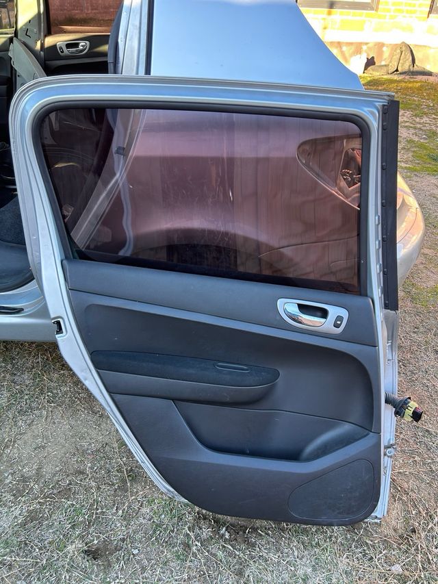 Puerta Trasera Izquierda Peugeot 307 (2005)