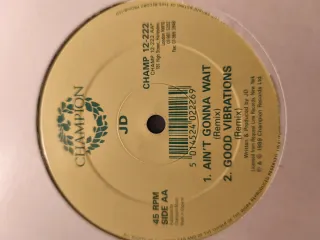 Lote 10 Vinilos House & Deephouse