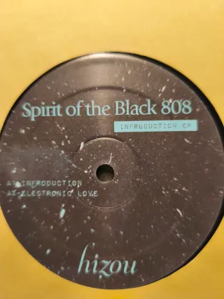 Lote 10 Vinilos House & Deephouse