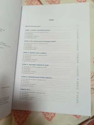 Punt per punt C2: Curs de valencià de nivell C2