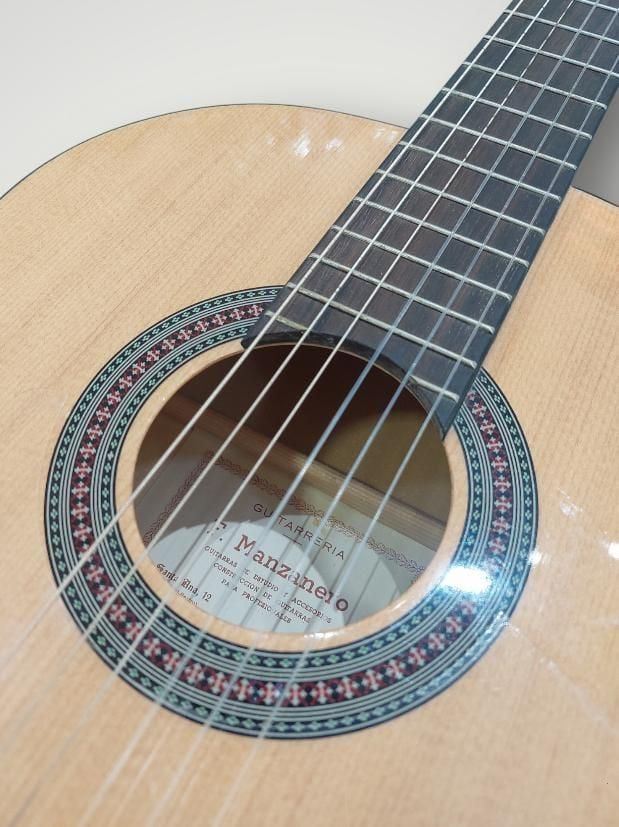 Chitarra da studio Felix Manzanero + custodia