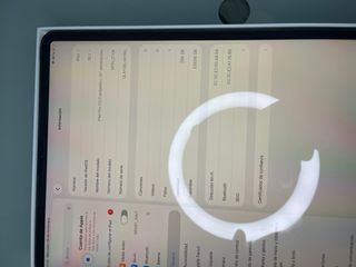 iPad Pro 12.9 256GB 3ª Gen Plata