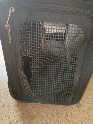 Transportín para perro de 10 kilos