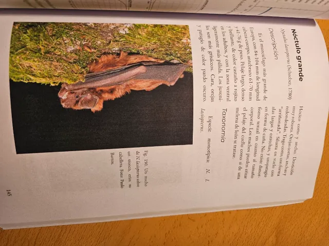 Murciélagos de Cantabria: Poblaciones, distrib....