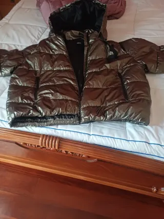 Cazadora corta dorada y negra