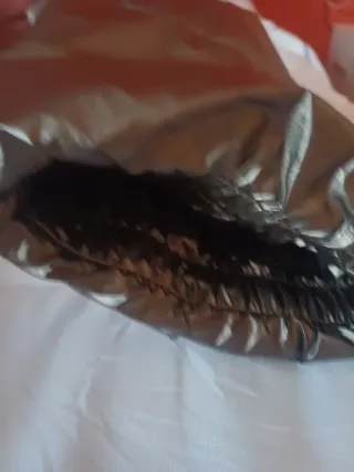 Cazadora corta dorada y negra