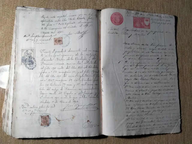 Testimonianza di aggiudicazione dei beni di Córdoba del 1897