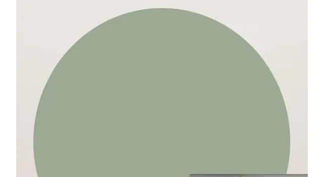 Chaleco Springfield Mujer Talla L