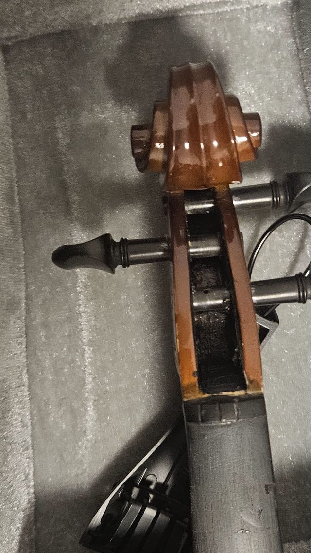 Violino con custodia