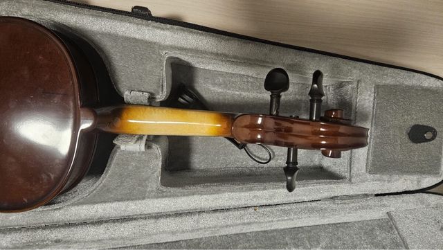Violino con custodia