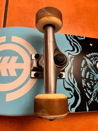Skate Element Night Owl 7.75