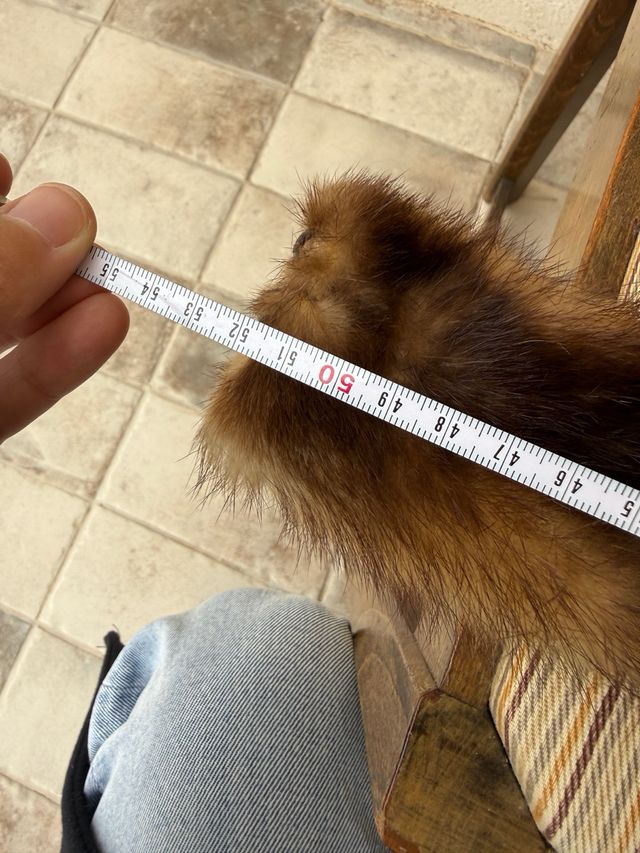 Cuello de pelo bicolor