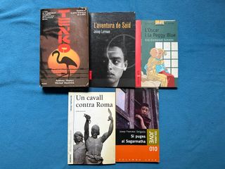 Lote de 5 libros en catalan