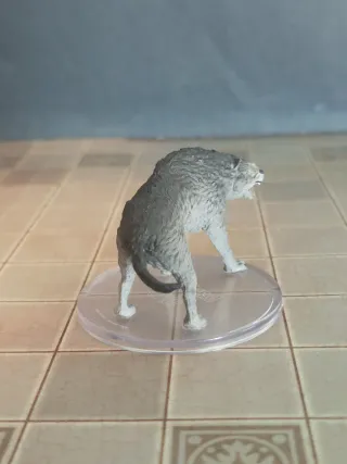 Dire Wolf