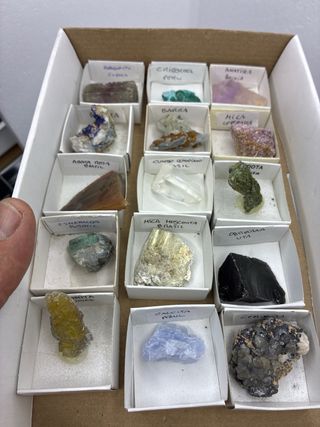 Lote Collezione Minerali