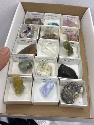 Lote Collezione Minerali