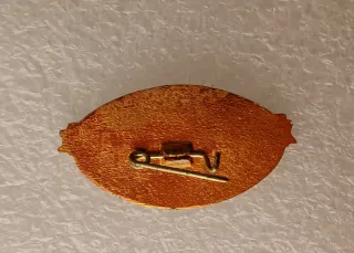 Spilla URSS Aeroporto Pulkovo Leningrado