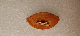 Spilla URSS Aeroporto Pulkovo Leningrado