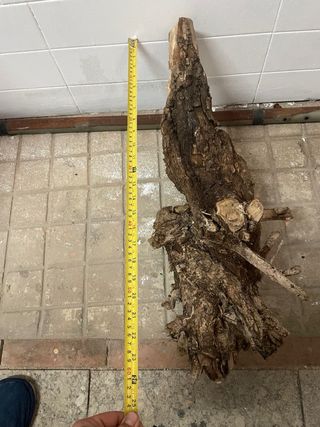 Raíz Tanuki para Acuario/Terrario