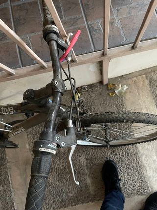 Bicicleta tal cual