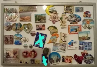 Calamite da collezione