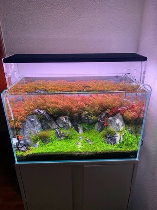 Filtro Oase FiltoSmart 200 Acuario