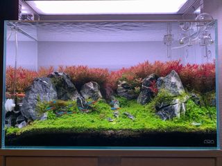 Filtro Oase FiltoSmart 200 Acuario