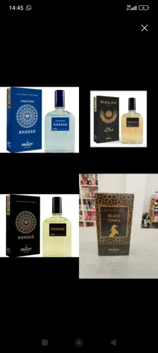 Lote 8 colonias Prady hombre