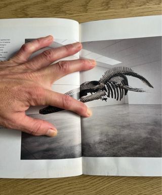 Gabriel Orozco. Ediz. illustrata