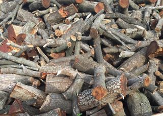 Leña algarrobo particulares