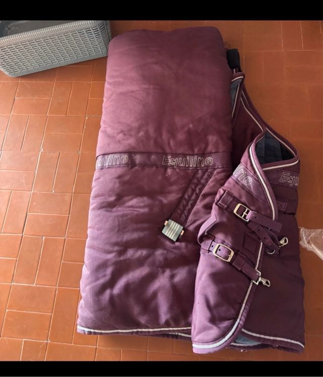 Coperta Equiline cavallo