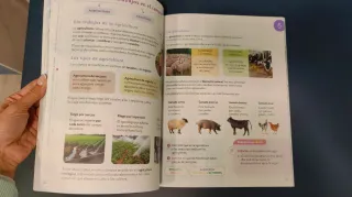 CIENCIAS SOCIALES CAST-LEON 3 PRIMARIA CONSTRUY...