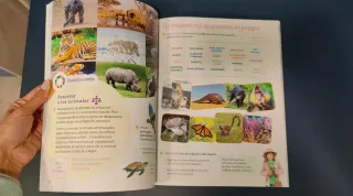 CIENCIAS SOCIALES CAST-LEON 3 PRIMARIA CONSTRUY...