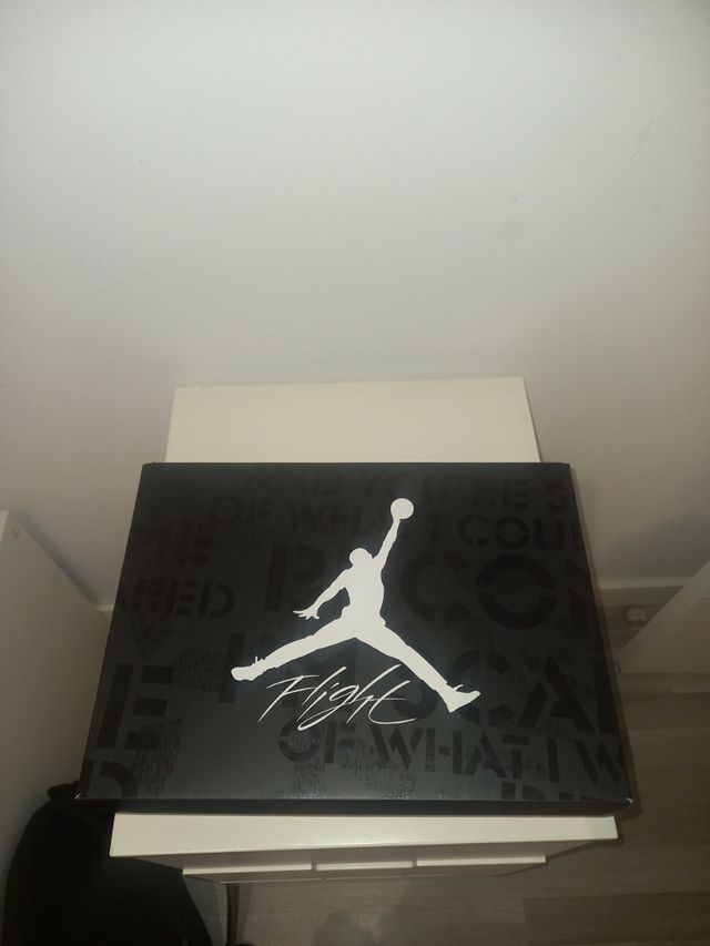 Air Jordan 4 Fear Negro Gris