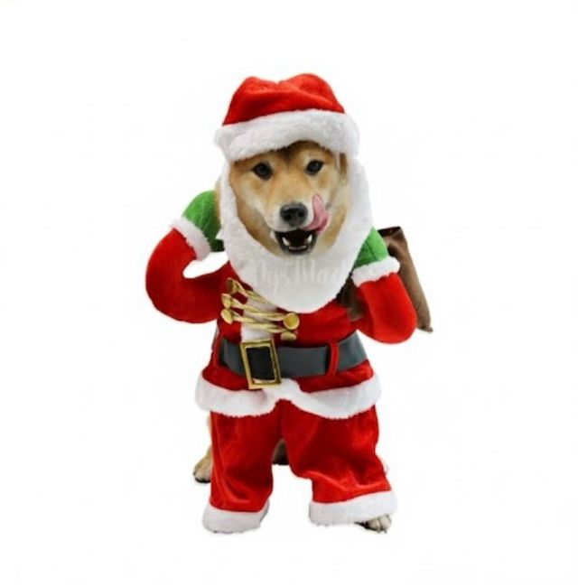 Disfraz Navideño Perro Santa Claus（S/M/L）